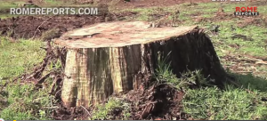 Captura de pantalla 2015-03-05 a la(s) 21.30.51