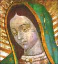 Nuestra Señora de Guadalupe. Por el Dr. Ricardo Castañón