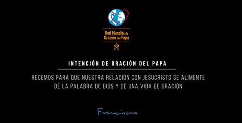 Del Vaticano y del mundo  (Autorizado por Rome Reports TV  News Agency)