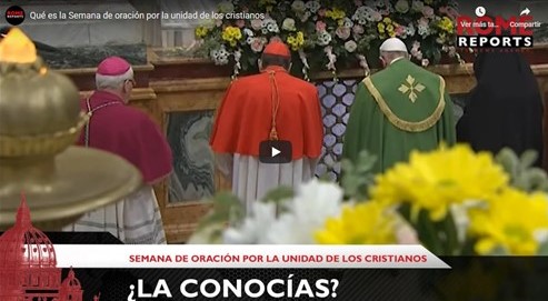 Del Vaticano y del mundo  (Autorizado por Rome Reports TV  News Agency)