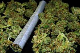 El «New York Times» rectifica sobre la marihuana: 3 titulares sobre adicción, psicosis e infartos